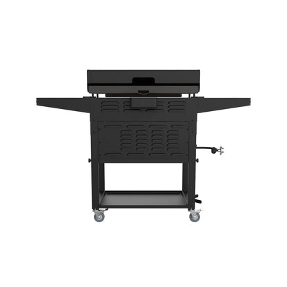 Clearance Sale,Blackstone 2-Burner 28" Griddle with Electric Air Fryer and Hood
